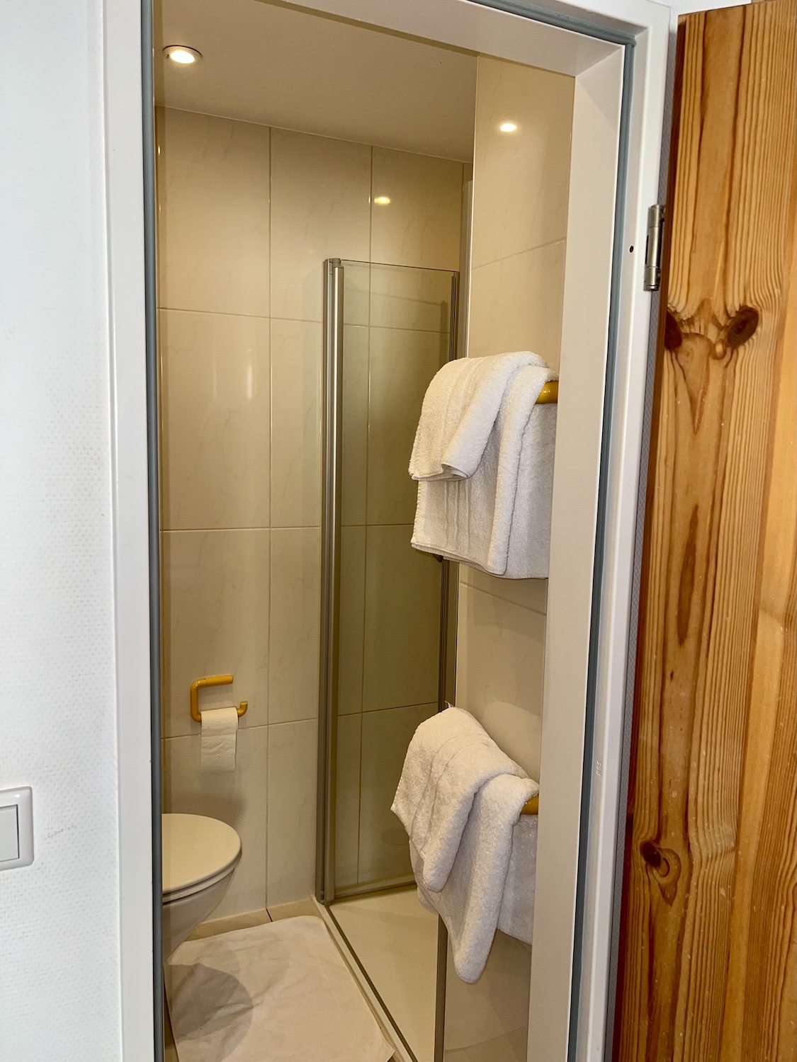 Badezimmer Doppelzimmer mit Dusche und Handtüchern